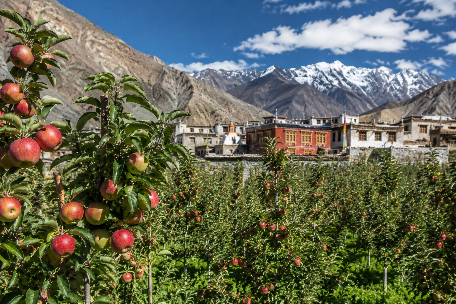 Marpha apple orchards and monastery
