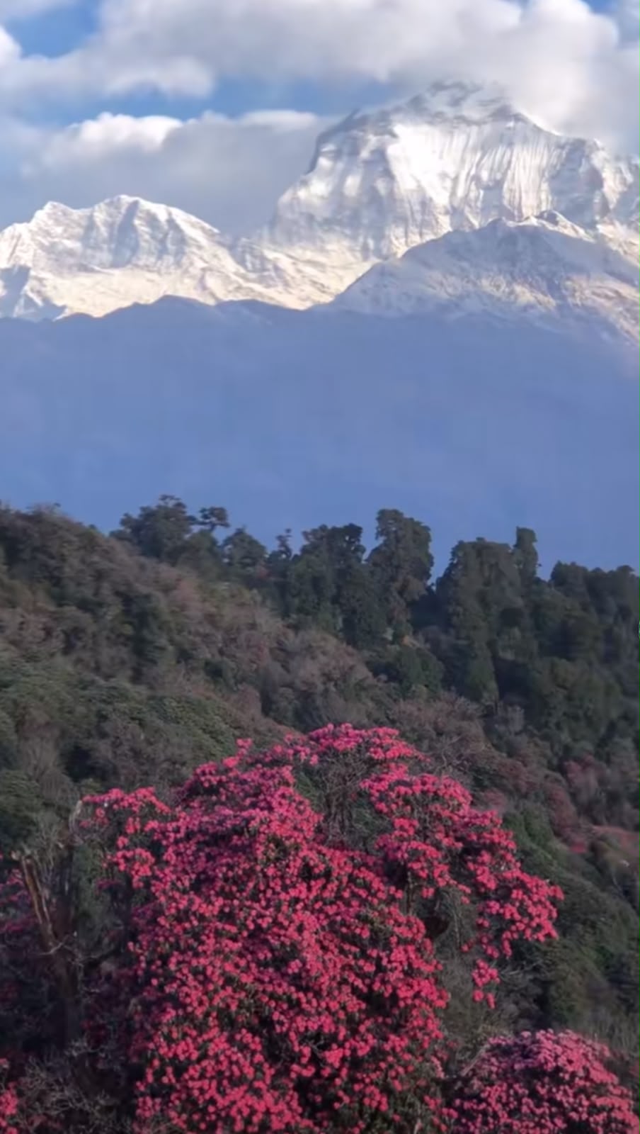 Poon Hill Pokhara Tour package Nepal