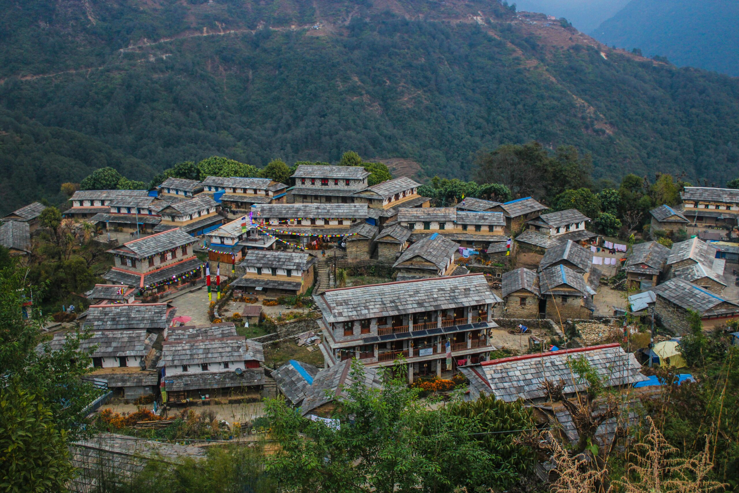 Pokhara Ghandruk Tour